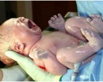 bayi